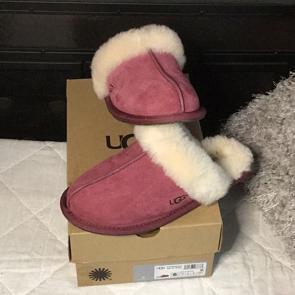 UGG Shoes - Ugg Slides